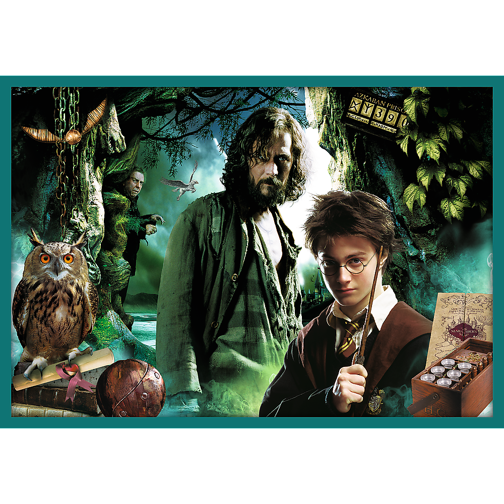 Puzzle 10v1 ze světa Harryho Pottera – Harry Potter