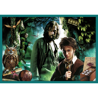 Puzzle 10v1 ze světa Harryho Pottera – Harry Potter