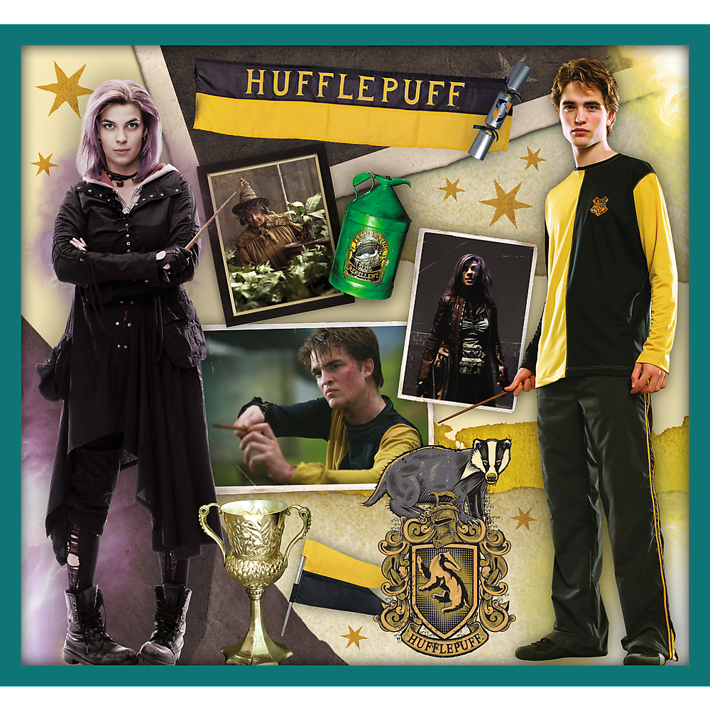 Puzzle 10v1 ze světa Harryho Pottera – Harry Potter