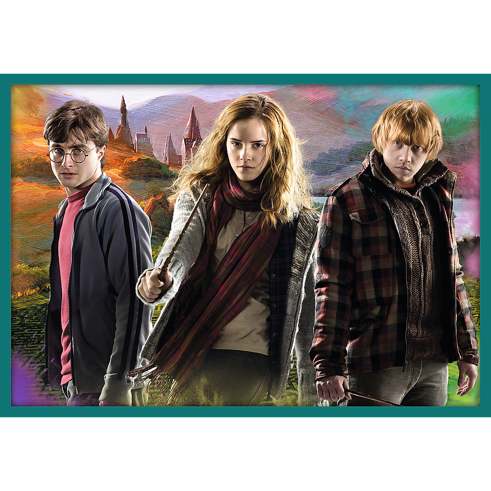 Puzzle 10v1 ze světa Harryho Pottera – Harry Potter