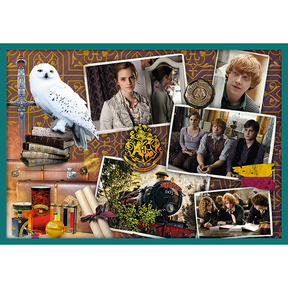 Puzzle 10v1 ze světa Harryho Pottera – Harry Potter
