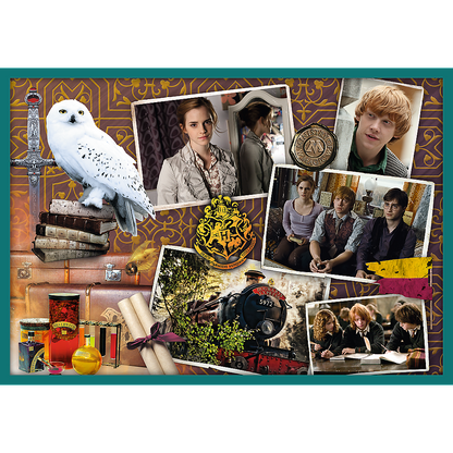 Puzzle 10v1 ze světa Harryho Pottera – Harry Potter