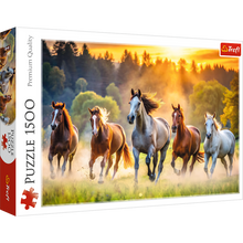 Puzzle 1500 dílků divoké koně na louce – Trefl 26215