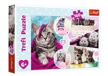 Puzzle 160 dílků Roztomilá koťátka – Trefl 15371