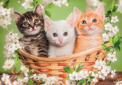 Puzzle 2×60 dílků Super Color Furry Brothers – Clementoni
