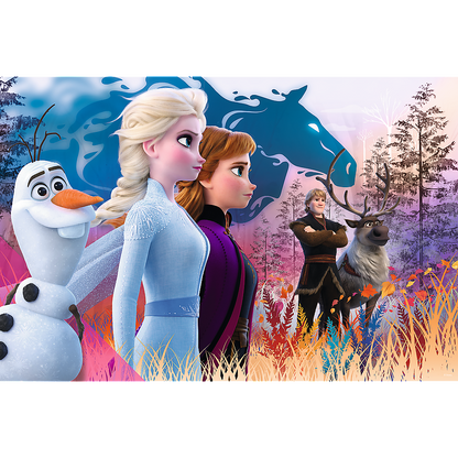 Puzzle 24 Maxi kouzelná výprava Frozen 2 – Trefl 14298