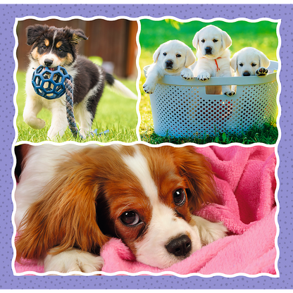 Puzzle 3v1 roztomilí pejsci pro děti od 3 let – Trefl