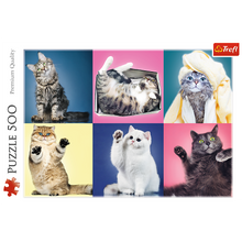 Puzzle 500 dílků Koťátka s barevnými pozadími – Trefl 37377