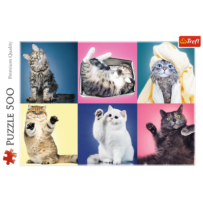 Puzzle 500 dílků Koťátka s barevnými pozadími – Trefl 37377
