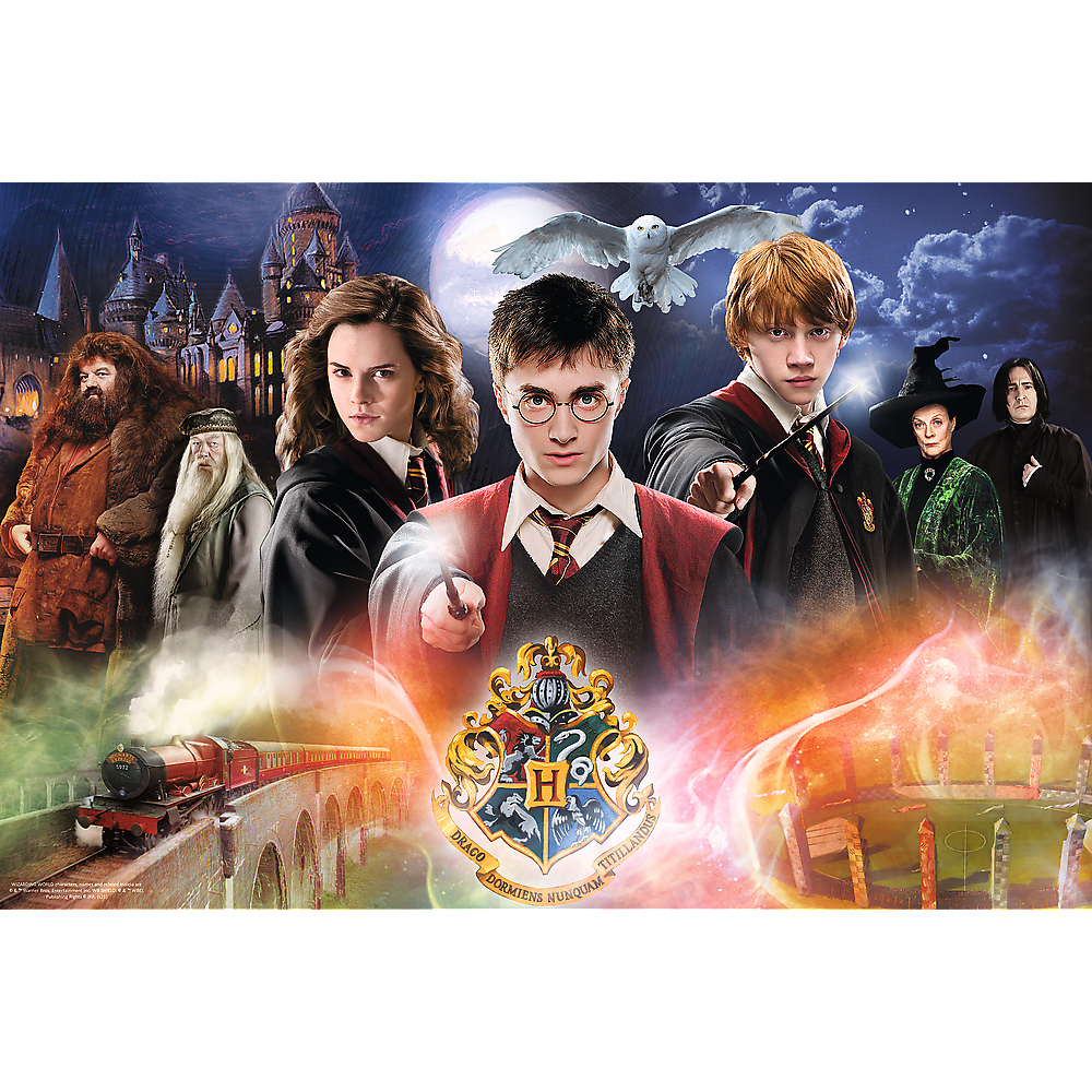 Puzzle Harry Potter 300 dílků Tajemný Harry Potter