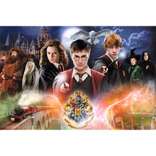 Puzzle Harry Potter 300 dílků Tajemný Harry Potter