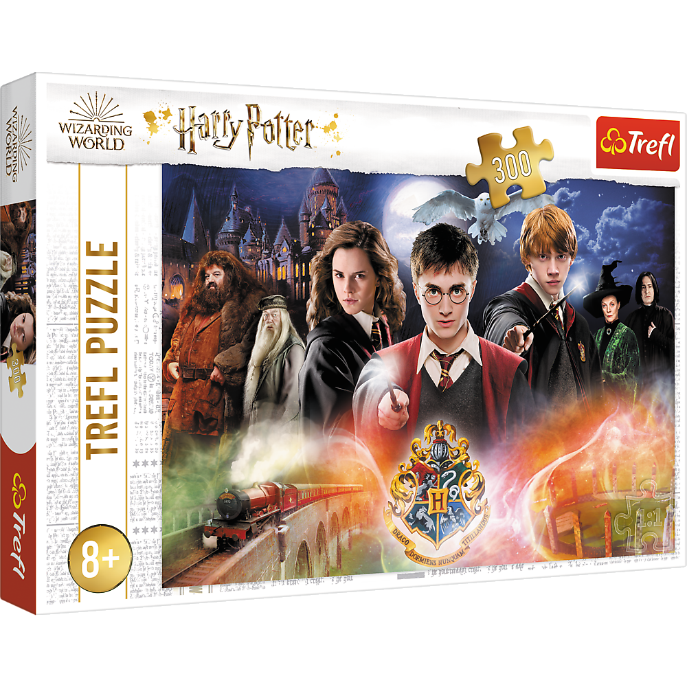 Puzzle Harry Potter 300 dílků Tajemný Harry Potter