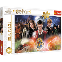 Puzzle Harry Potter 300 dílků Tajemný Harry Potter