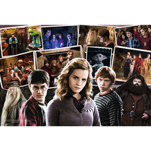 Puzzle Harry Potter a přátelé 160 dílků – Trefl 15418
