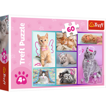 Puzzle Roztomilá koťátka 60 dílků – Trefl 17373