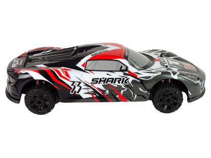 RC sportovní auto na dálkové ovládání 1:8 s akumulátorem šedé bílé