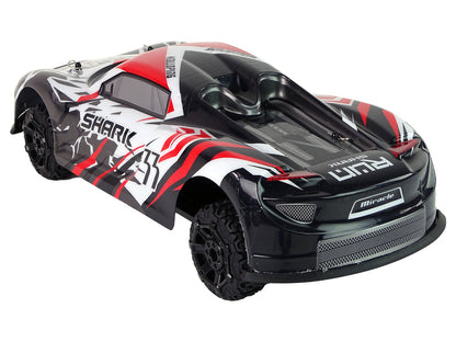 RC sportovní auto na dálkové ovládání 1:8 s akumulátorem šedé bílé