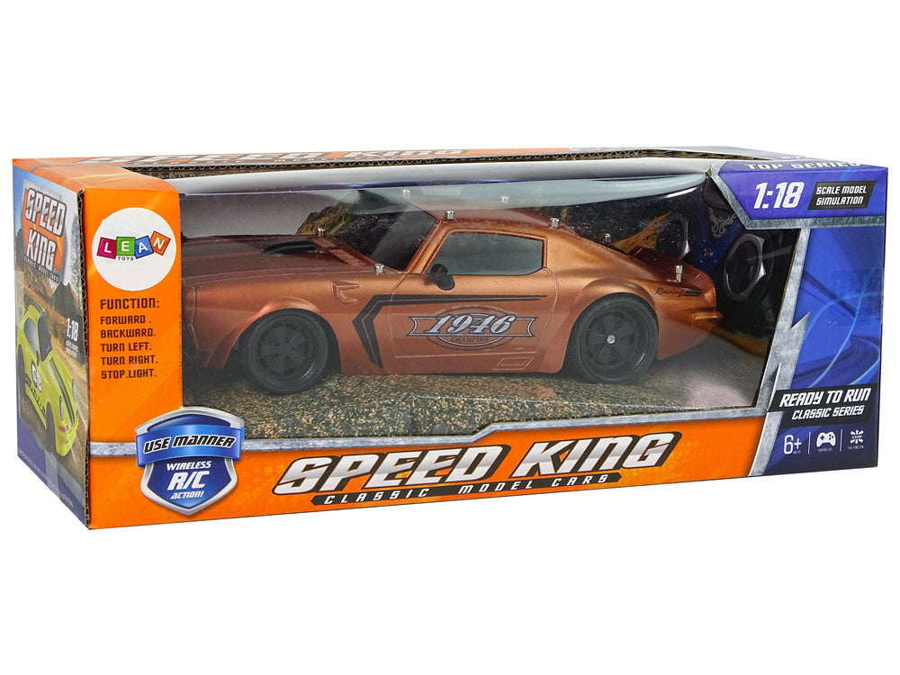Sportovní auto na dálkové ovládání 1:18 s pilotem hnědé