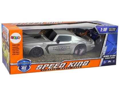 Sportovní auto na dálkové ovládání 1:18 s pilotem stříbrné