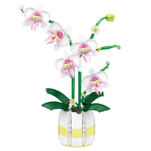 Stavebnice orchidej růžovo bílá – 616 dílů v květináči