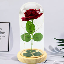 Věčná růže ve skleněné kopuli s LED osvětlením červená 21x11cm