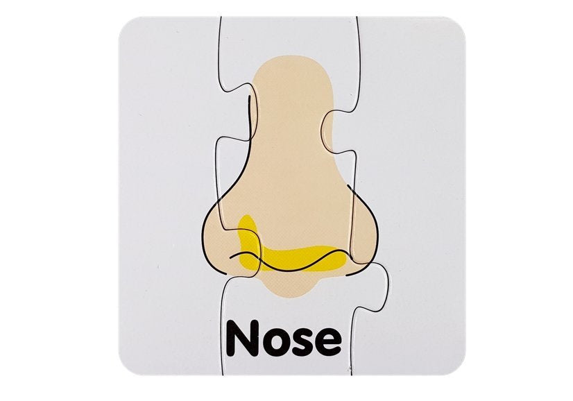 Vzdělávací puzzle části těla s anglickými nápisy 10 spojení