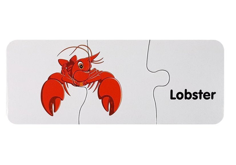 Vzdělávací puzzle Svět oceánů 10 spojení s anglickými nápisy